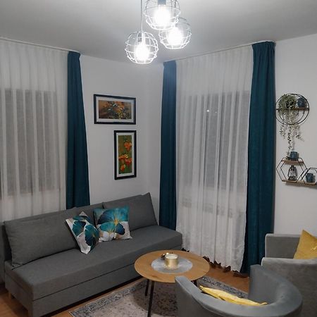 Apartment Petra I Nikola Seliste Dreznicko Esterno foto