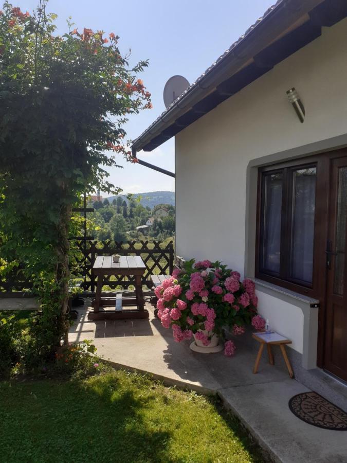 Apartment Petra I Nikola Seliste Dreznicko Esterno foto