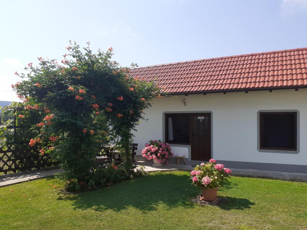 Apartment Petra I Nikola Seliste Dreznicko Esterno foto