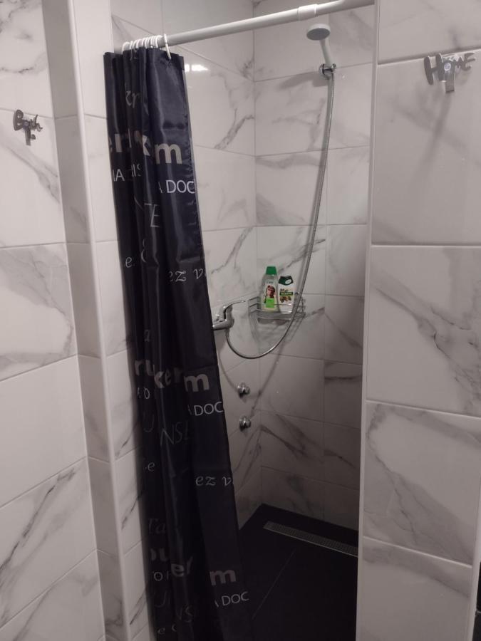 Apartment Petra I Nikola Seliste Dreznicko Esterno foto