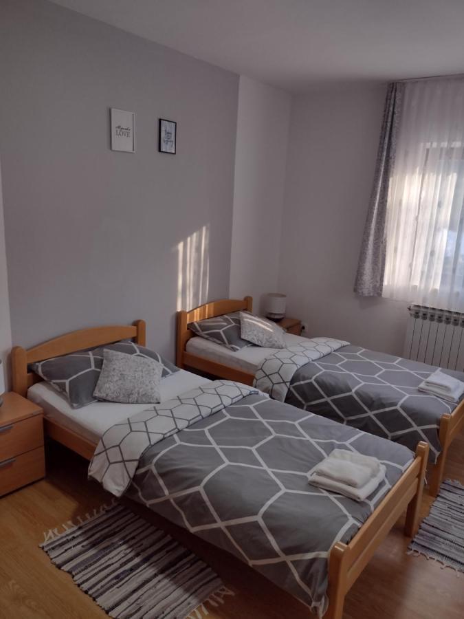 Apartment Petra I Nikola Seliste Dreznicko Esterno foto