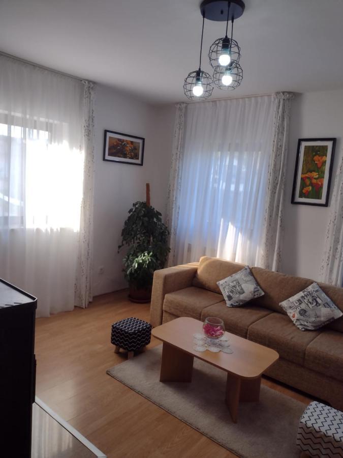 Apartment Petra I Nikola Seliste Dreznicko Esterno foto