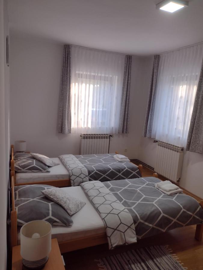 Apartment Petra I Nikola Seliste Dreznicko Esterno foto