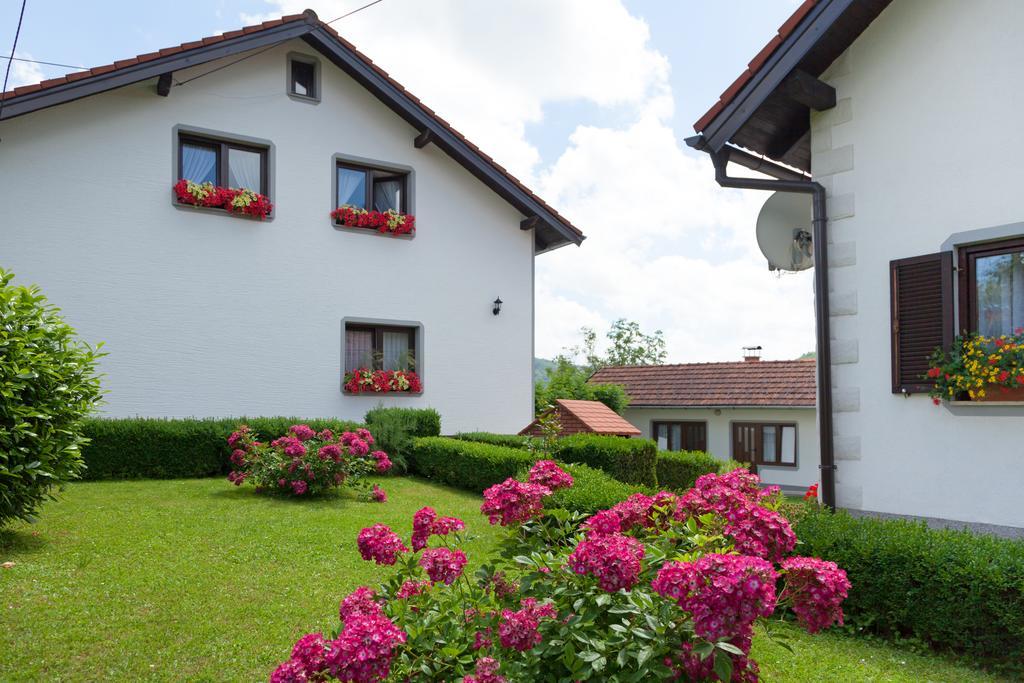 Apartment Petra I Nikola Seliste Dreznicko Esterno foto