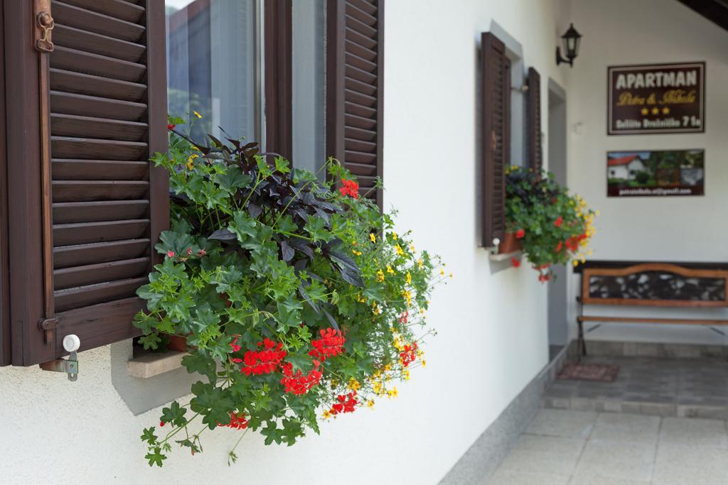 Apartment Petra I Nikola Seliste Dreznicko Esterno foto